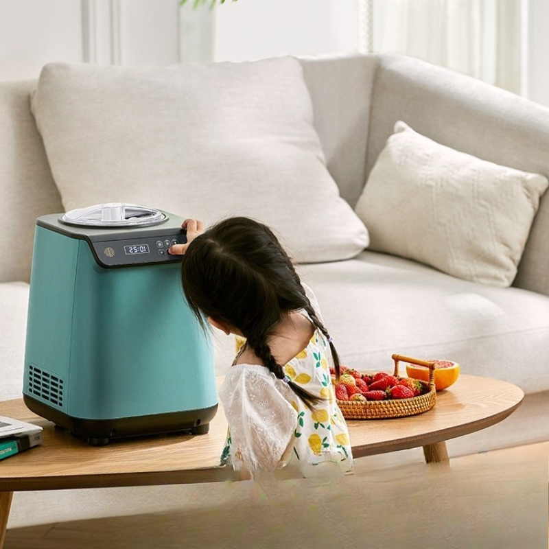Automatische, snelle, zelfgema - Home Cooking Business recensie en prijs